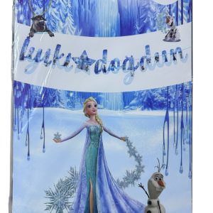 karakterli kaligrafi banner frozen,toptan parti süs,party mall